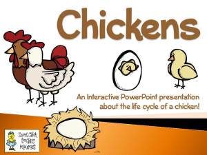 ChickensPowerpoint