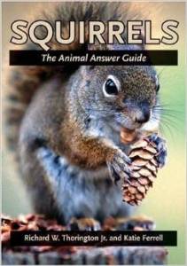squirrelbook